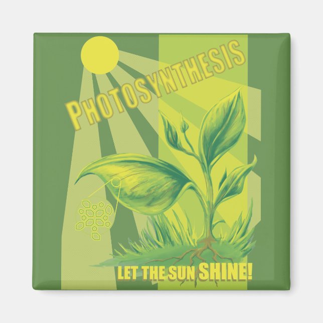 Fotosynthese Magnet (Vorne)