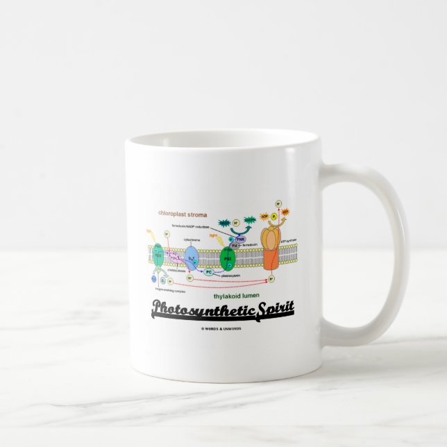 Fotosynthetischer Geist (Biochemie Attitude) Kaffeetasse (Rechts)