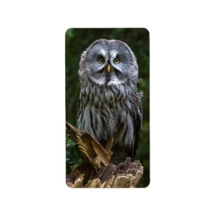 Fotovergrößerung Adressaufkleber