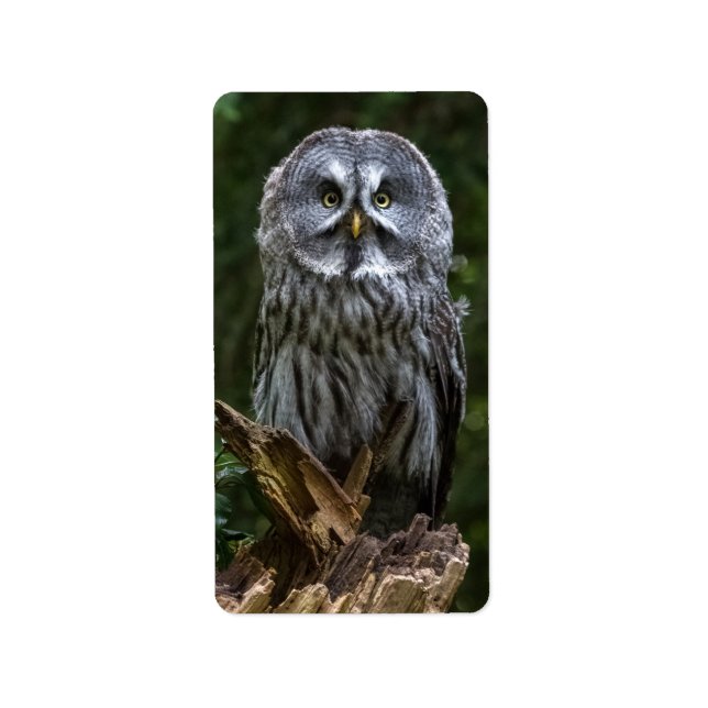 Fotovergrößerung Adressaufkleber (Vorne)