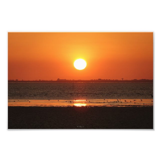 Fotovergrößerung Fotodruck (Vorne)