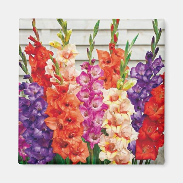 Fotovorlage 2 x 2 Square Kühlschrank Magnet (Vorne)