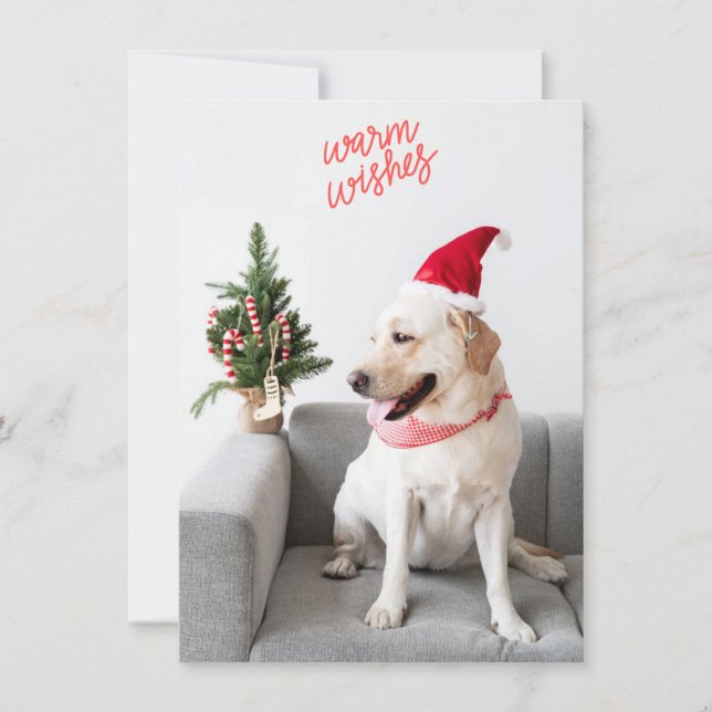 Fotowärme Wünsche mit benutzerdefiniertem Hinterte Feiertagskarte (Vorderseite)