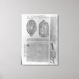 Fötus, Illustration 'von den Gesamtwerken Leinwanddruck