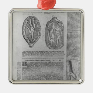 Fötus, Illustration 'von den Gesamtwerken Silbernes Ornament