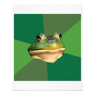 Foul Bachelor Frog Ratgeber Tiermeme Flyer