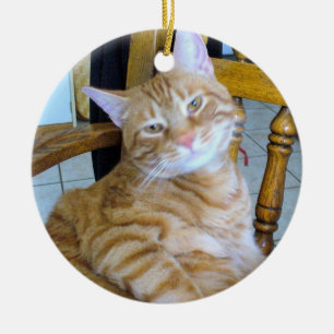 Found Feline Tabby Cat Happy Healthiled Keramik Ornament