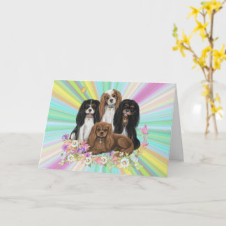 Four Cavalier King Charles Spaniels in Blume Karte