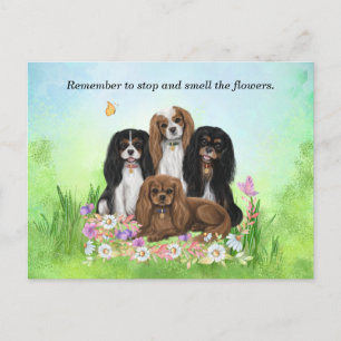 Four Cavalier King Charles Spaniels in Blume Postkarte