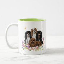 Four Cavalier King Charles Spaniels in Blume