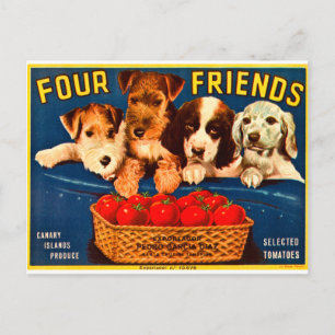 Four Friends Vintage Etikett Tomatenkiste Hunde Postkarte