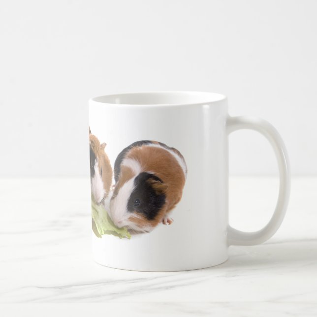Four guinea Pigs who eat Tasse (Rechts)