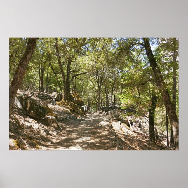 Four Mile Trail Poster (Vorne)