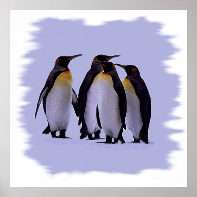 Four Pinguins Poster 24X24" (Vorne)