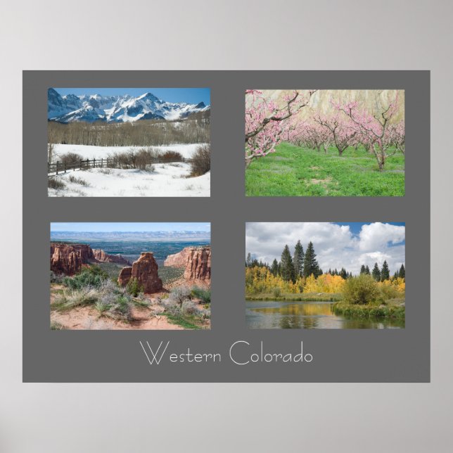 Four Seasons in Western Colorado Foto Poster (Vorne)
