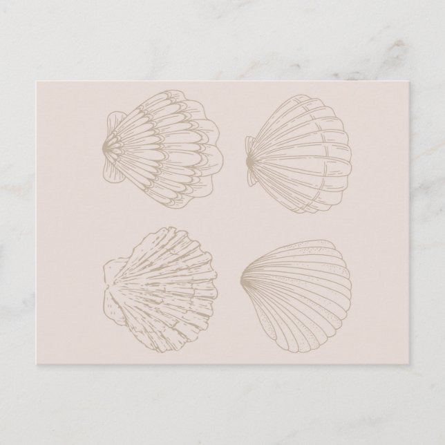 Four Shells Postkarte (Vorderseite)