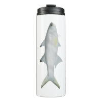 Fourfinger Threadfin