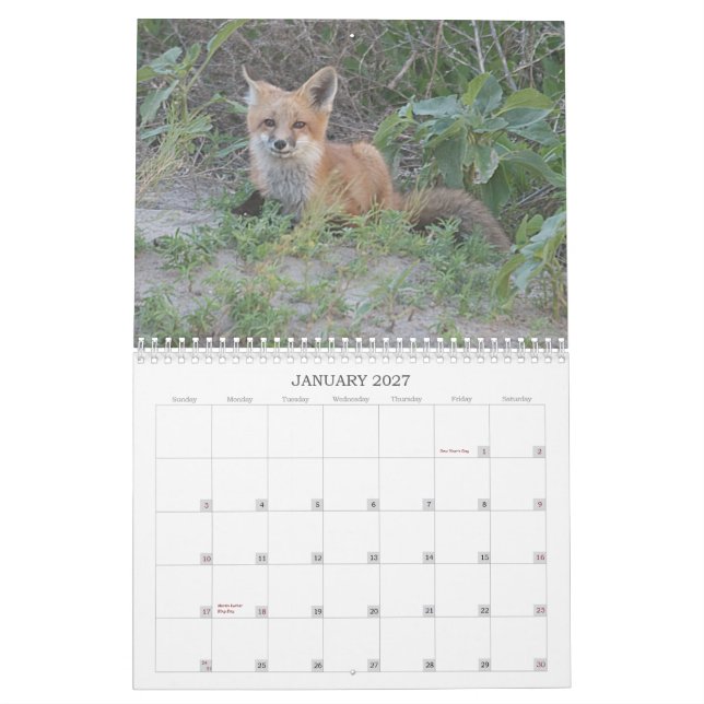 Fox 2011 kalender (Jan 2027)