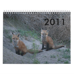 Fox 2011 kalender