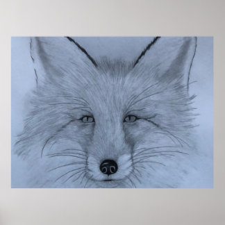 Fox Art Posters Poster