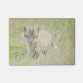 Fox-Ausrüstung Posten-it® merkt 4 x 3 Post-it Klebezettel