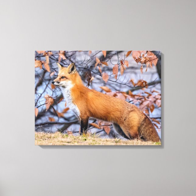 Fox, Blätter und Nebel Leinwanddruck (Vorderseite)