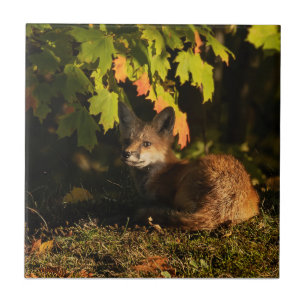 Fox-Blätter und Schatten Fliese