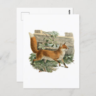 Fox by a Fence Rustic Animal Rural Hütte Design Postkarte