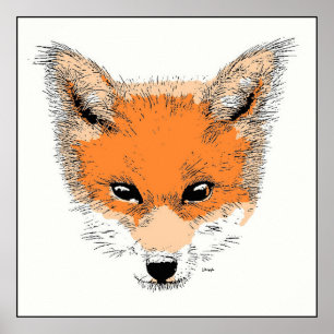Fox Cartoon Poster Print