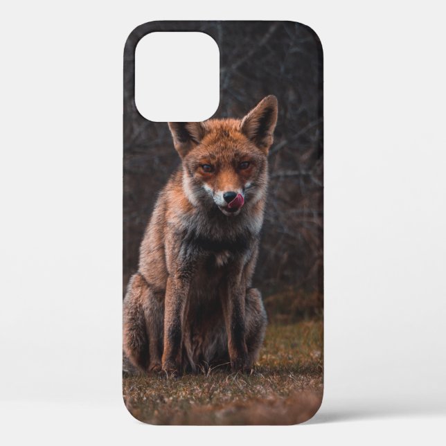 FOX Case-Mate iPhone HÜLLE (Rückseite)
