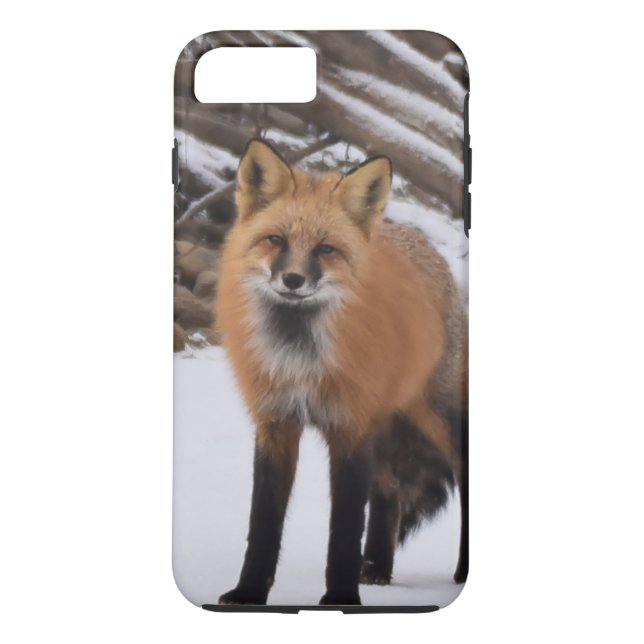 Fox Case-Mate iPhone Hülle (Rückseite)