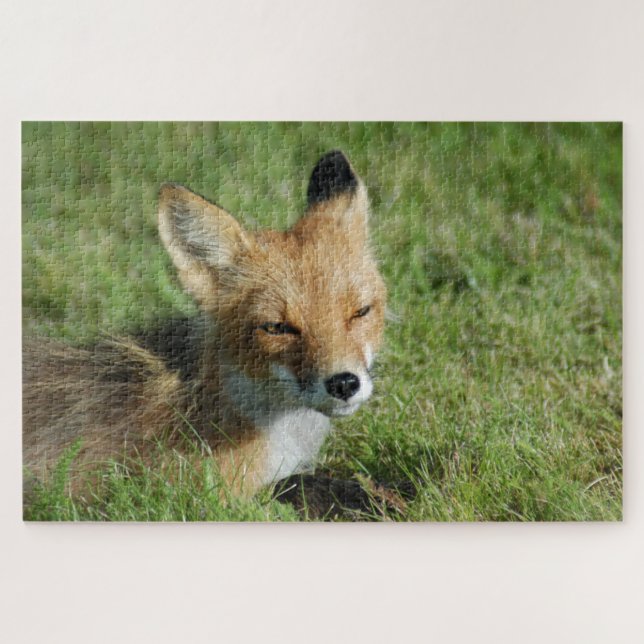 Fox Close, Brooks Falls Alaska Puzzle (Horizontal)