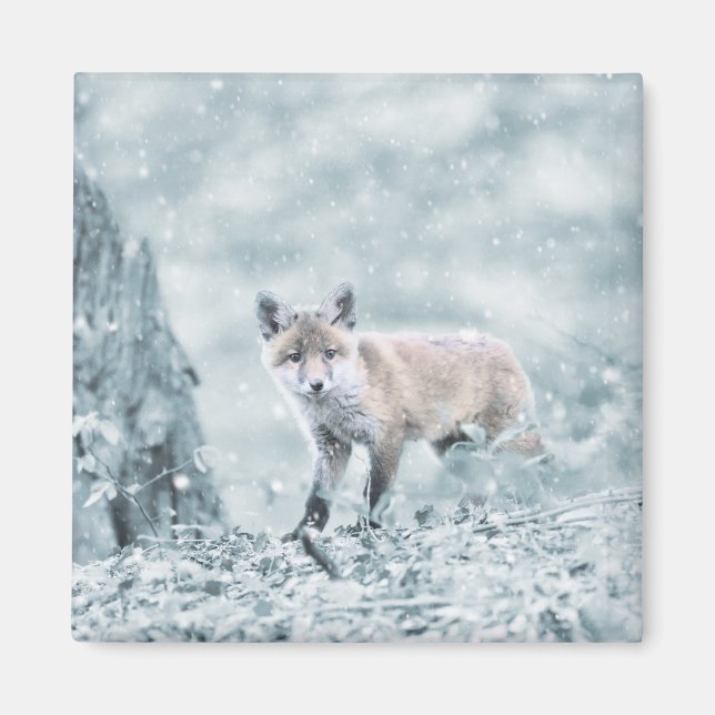 Fox Cub im Schnee Magnet (Vorne)