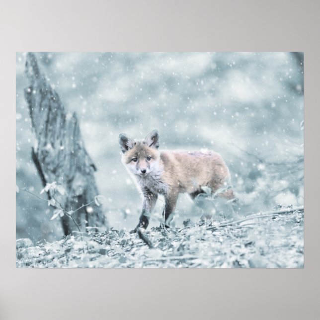 Fox Cub im Schnee Poster (Vorne)