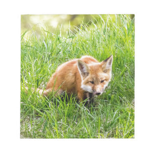 Fox Cub Notizblock