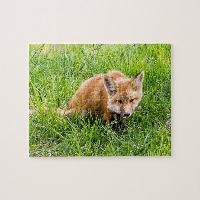 Fox Cub Puzzle (Horizontal)
