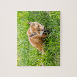 Fox Cub Puzzle
