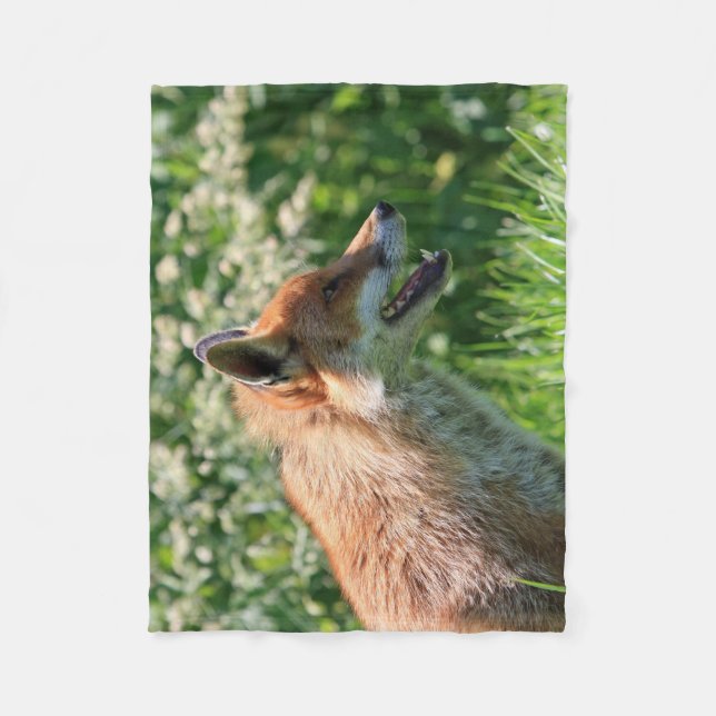 fox Decke, foxy Wurf, Fuchsjungs-Wurfsdecke Fleecedecke (Vorderseite)