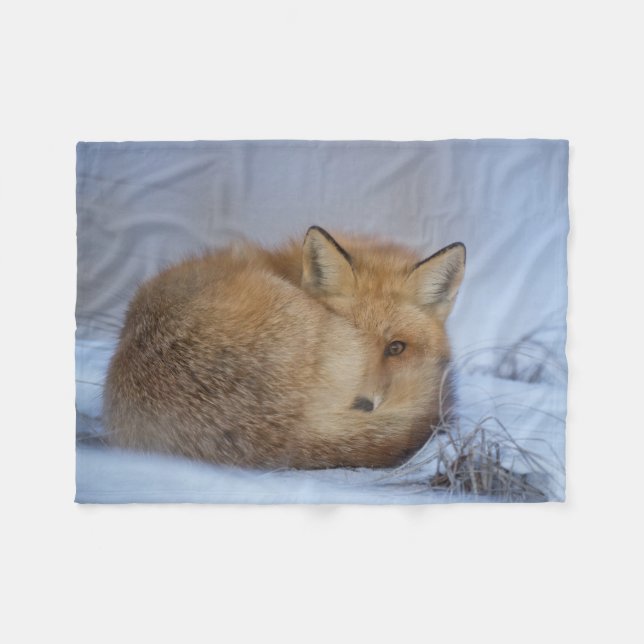 fox Decke, Fuchs-Wurf, cosy Schlafenfuchs Fleecedecke (Vorderseite (Horizontal))