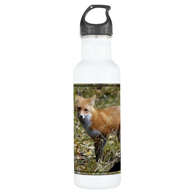 Fox Edelstahlflasche (Vorderseite)