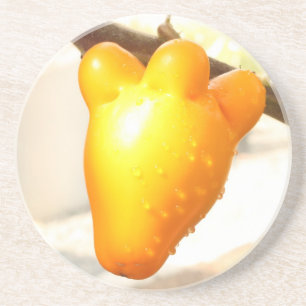 Fox Face Fruit Coaster Getränkeuntersetzer
