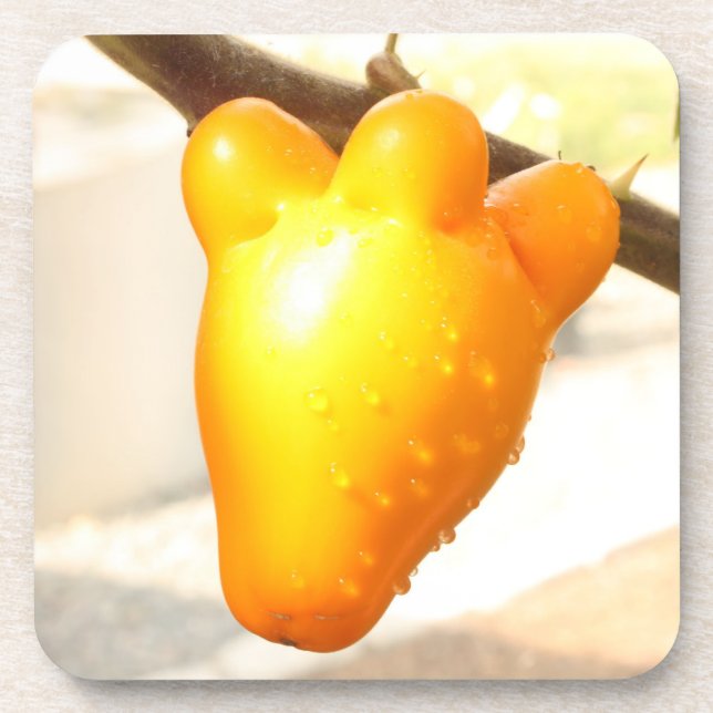 Fox Face Fruit Getränkeuntersetzer (Vorderseite)