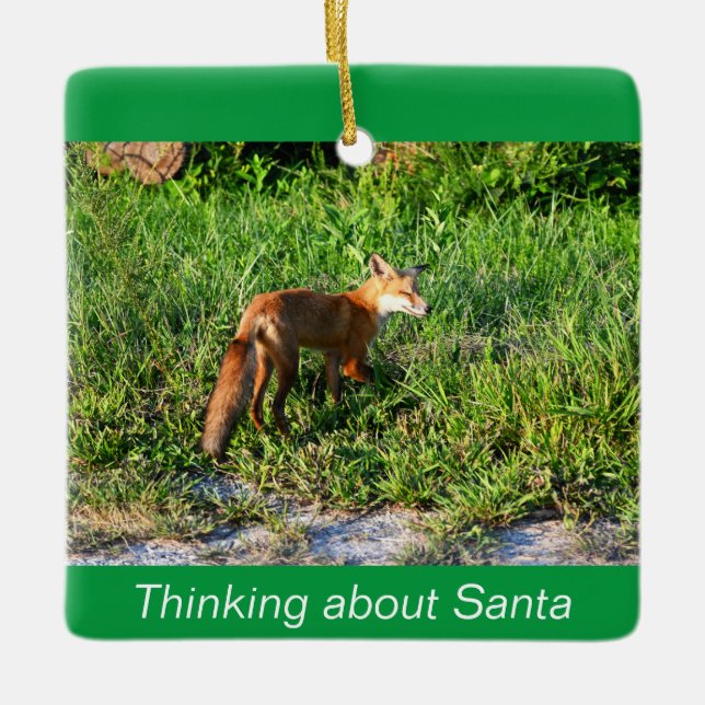Fox Foto Ornament (Vorderseite)