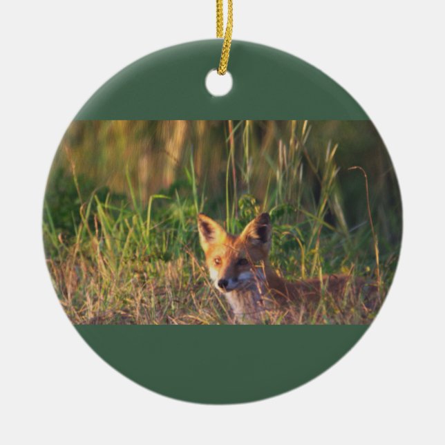 Fox Foto Ornament (Vorne)