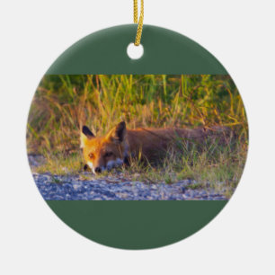 Fox Foto Ornament