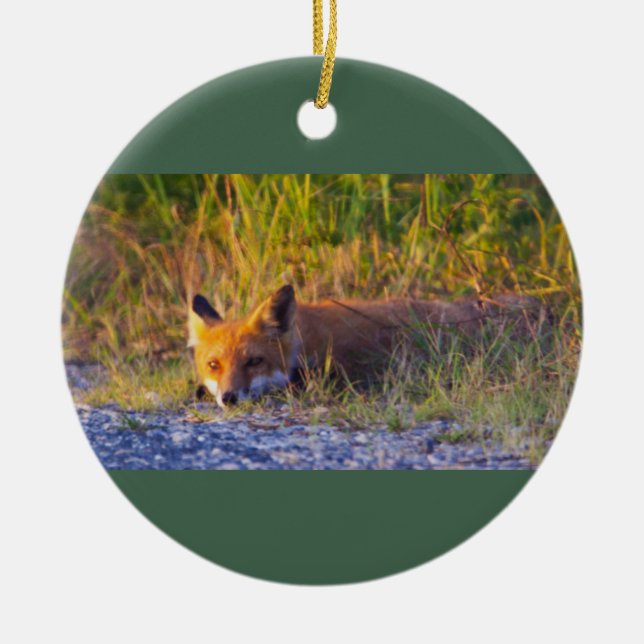 Fox Foto Ornament (Vorne)