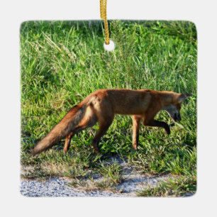 Fox Foto Ornament