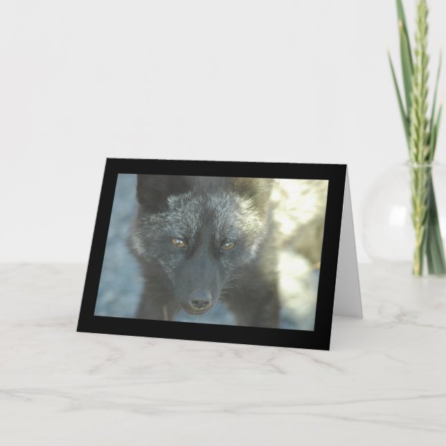 Fox-Gruß-Karte Karte (Vorderseite)