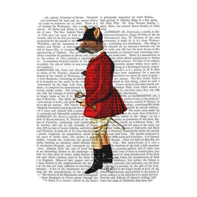 Fox Hunter 1 2 Magnet (Vertikal)