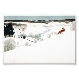 Fox im Schnee von Newell Convers Wyeth Fotodruck